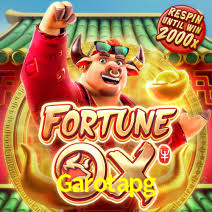 A Experiência Imersiva dos Cassinos Ao Vivo no Garotapg