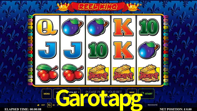 Descubra o Mundo do Cassino Online com Garotapg